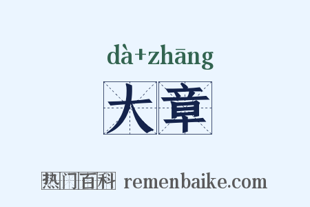 大章是什么意思的图片